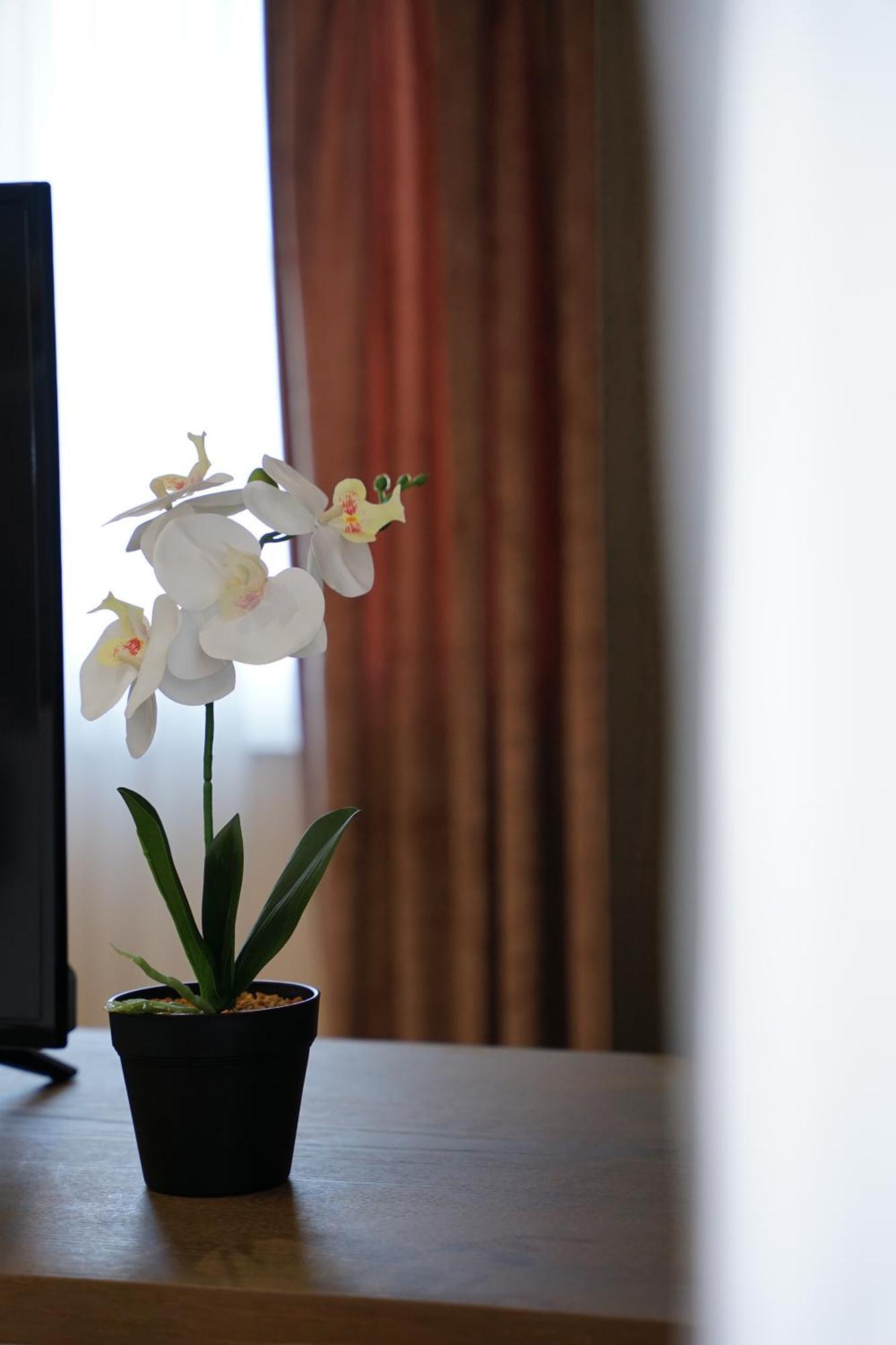 Doanesia Premium Hotel & Spa Tirana Zewnętrze zdjęcie